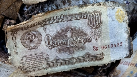 Во владимирском лесу нашли свалку мешков с миллиардами советских рублей