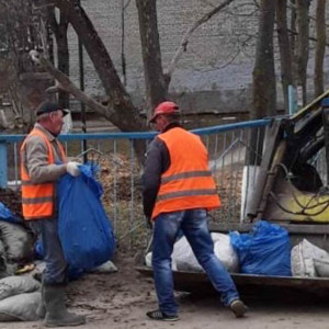 Около 16 тыс. владимирцев вышли на общегородской субботник