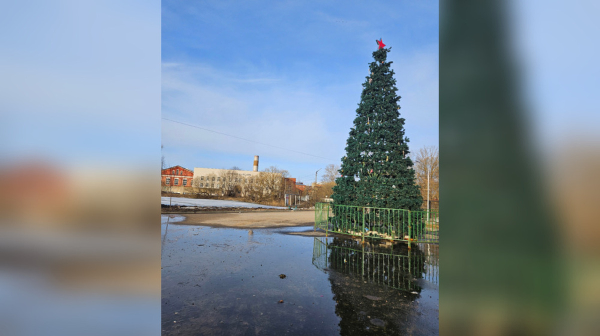 В Струнино новогоднюю елку на площади у ДК оставили до апреля - День во  Владимире