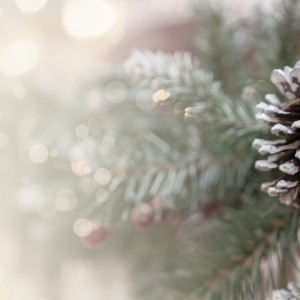 Во Владимирской области спрогнозировали теплый декабрь