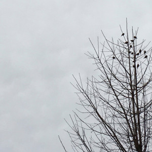 Прогноз погоды во Владимирской области на 3 октября