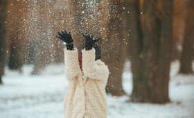 Прогноз погоды во Владимире и области на 29 декабря 2025 года