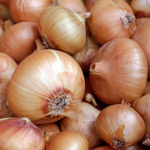 День Луки: что можно и нельзя делать 5 мая