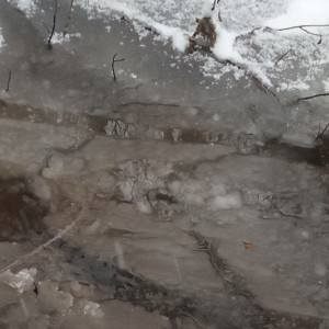 В Суздале категорически запретили выходить на лед реки Каменка