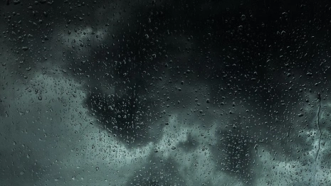 Владимирское МЧС предупредило о дожде и сильном ветре