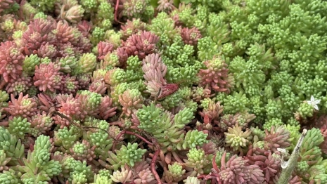 Прогноз погоды во Владимирской области на 16 июля 2025 года