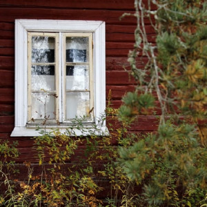 Во Владимирской области замерзший преступник забрался в чужой дом и остался в нем жить