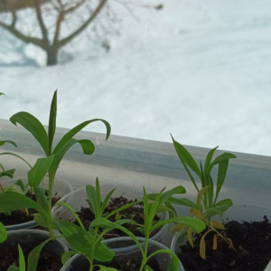 Прогноз погоды на 18 марта 2024 года во Владимире и области