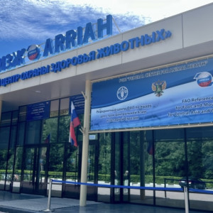 «Ящурный институт» во Владимире стал лабораторией ООН по расследованию применения химоружия