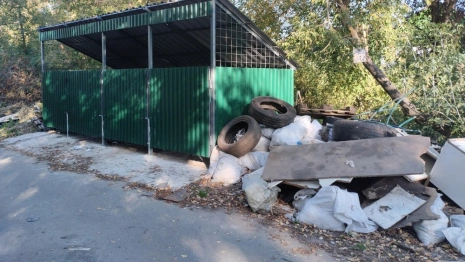 Во Владимире частный сектор утонул в мусоре
