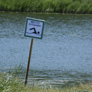 Роспотребнадзор разрешил купание на 10 из 40 пляжах во Владимирской области