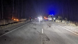 В Гусь-Хрустальном районе иномарка влетела в трактор: пострадала пассажирка