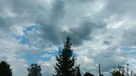 Во Владимирской области пообещали дождь с грозой вечером 1 июня