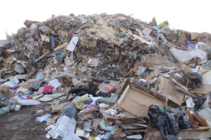 В Гусь-Хрустальном мужчину завалило отходами и спрессовало ковшом