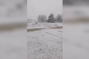 Юг Владимирской области завалило снегом