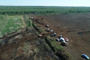 Во Владимирской области сгорели 3 гектара торфа