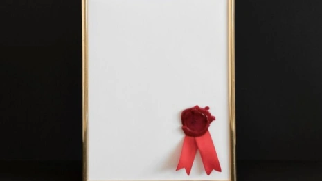 Во Владимирской области наградили чиновников и судей