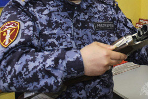 Во Владимирской области у 280 человек изъяли 490 единиц оружия