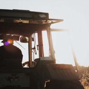 Во Владимирской области агроном избежала заключения за смерть тракториста