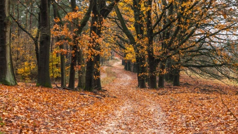 Прогноз погоды во Владимирской области на 17 сентября