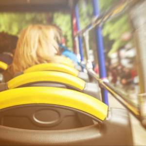 Во Владимирскую область приедет новый 31 школьный автобус