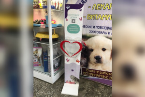 В Муроме хулиганы украли в кафе ящик для благотворительности