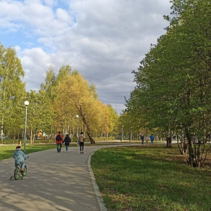 Улицу в Докучаевске переименуют в честь Владимира