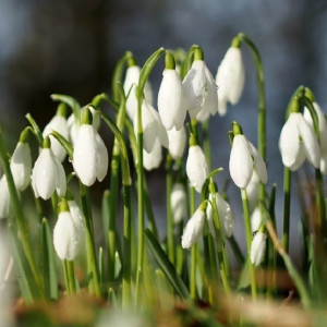 Жителям Владимирской области пообещали аномально теплую погоду 