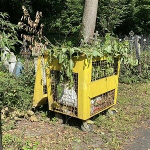 Во Владимире коммунальщиков наказали за замусоренное Князь-Владимирское кладбище