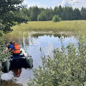В Гусь-Хрустальном мужчина утонул около кладбища