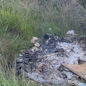 В СНТ под Камешково загорелась сухая трава