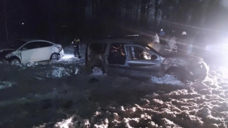 В ДТП на М-7 в Петушинском районе погибла 61-летняя пассажирка