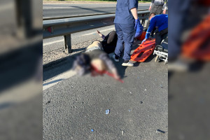 Жителя Владимира будут судить за смертельную аварию с пешеходами на Пекинке