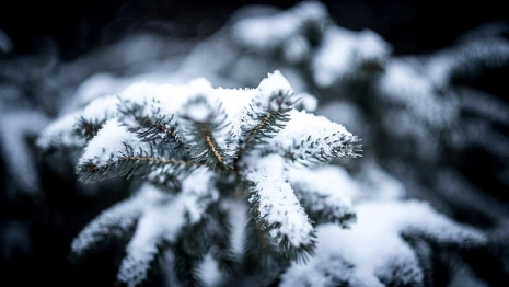 Прогноз погоды во Владимирской области на 3 декабря