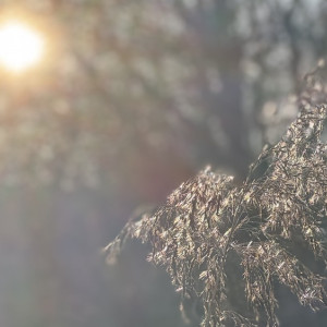 Во Владимирской области потепление придет к концу выходных