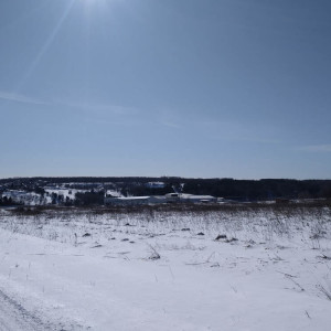 Прогноз погоды во Владимирской области на 5 декабря 2024 года