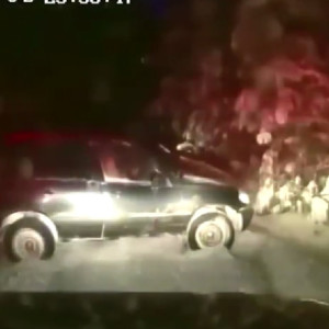 Во Владимирской области пьяный 19-летний парень уходил от патруля и угодил в болото