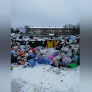 Жители Владимирской области пожаловались на заваленные мусором дворы