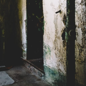 Во Владимирской области администрацию заставили снести заброшенный дом