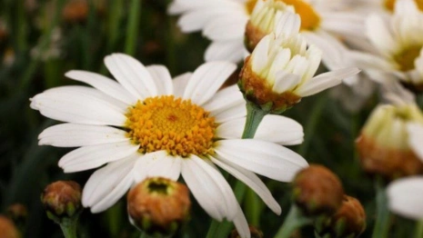 18 день Великого поста: что можно и нельзя 4 апреля