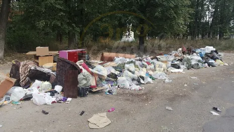 Жители Коврова создали стихийную свалку мусора и сами же пожаловались на нее