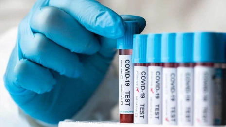 Во Владимирской области зарегистрировали 14 новых случаев заражения ковидом