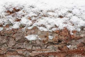 Прогноз погоды во Владимире и области на 8 марта