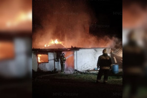 Число погибших птиц на пожаре фермы в женском монастыре под Киржачом выросло до 550