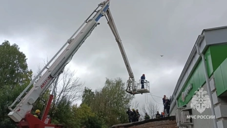 В «Пятерочке» на улице Мира во Владимире рухнул потолок