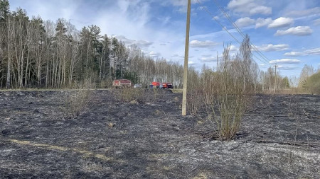 В Камешковском районе пожар уничтожил 400 квадратов сухой травы