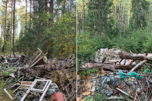 Жители Коврова обнаружили в лесу кладбище строительного мусора