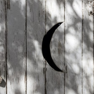 Во Владимирской области разгорелся скандал из-за школы с туалетом на улице