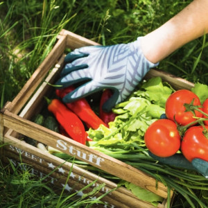 45 день Великого поста: что можно и нельзя делать 1 мая