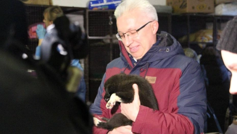 Владимирский депутат будет добиваться отмены решения суда о закрытии приюта «Валента»